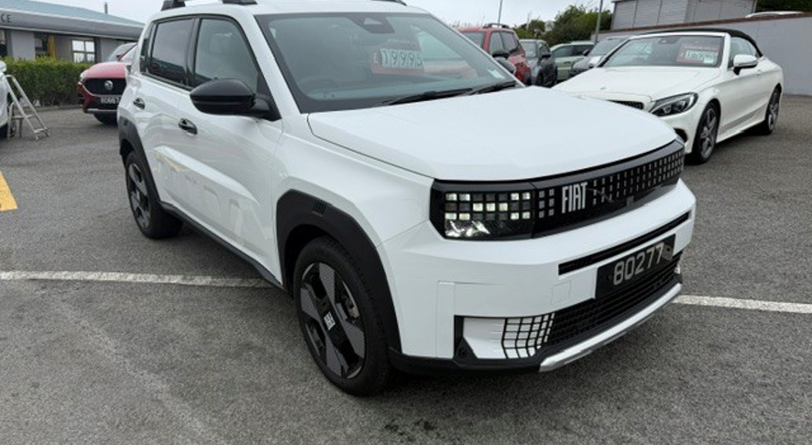 Panda 1